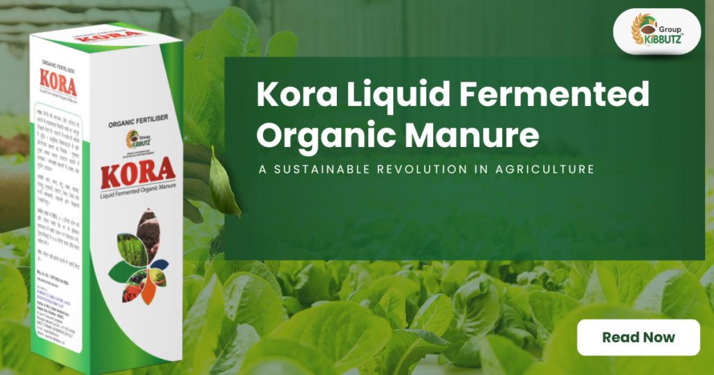 organic Fertilizer