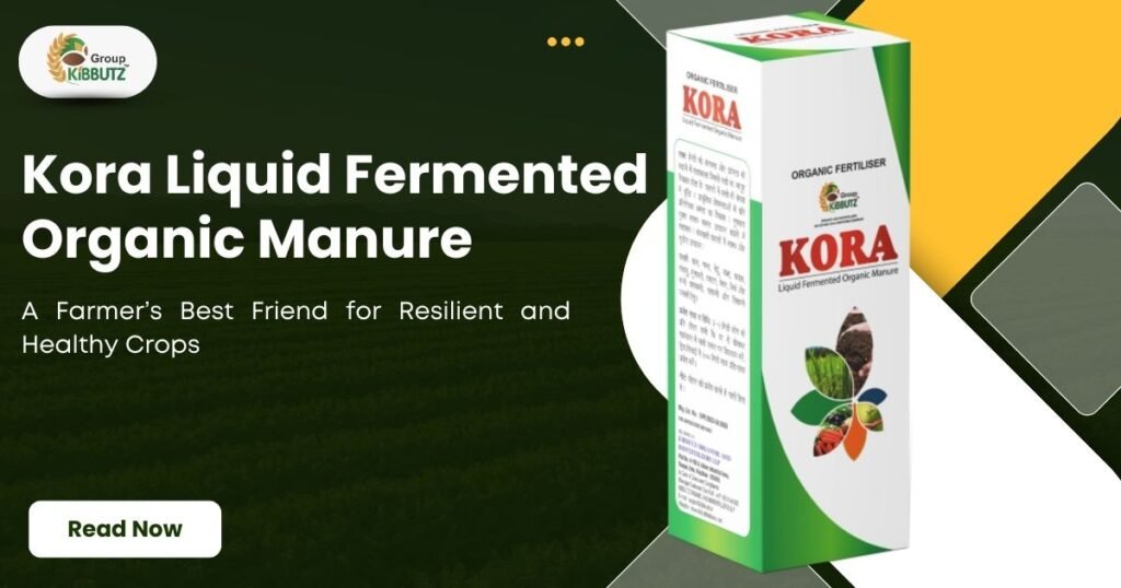 Kora Liquid Fermented Organic