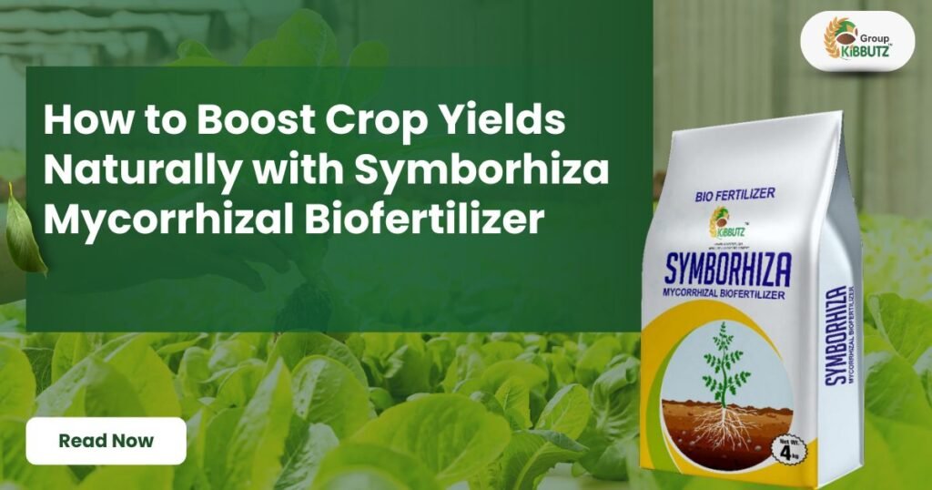 Symborhiza Mycorrhizal Biofertilizer