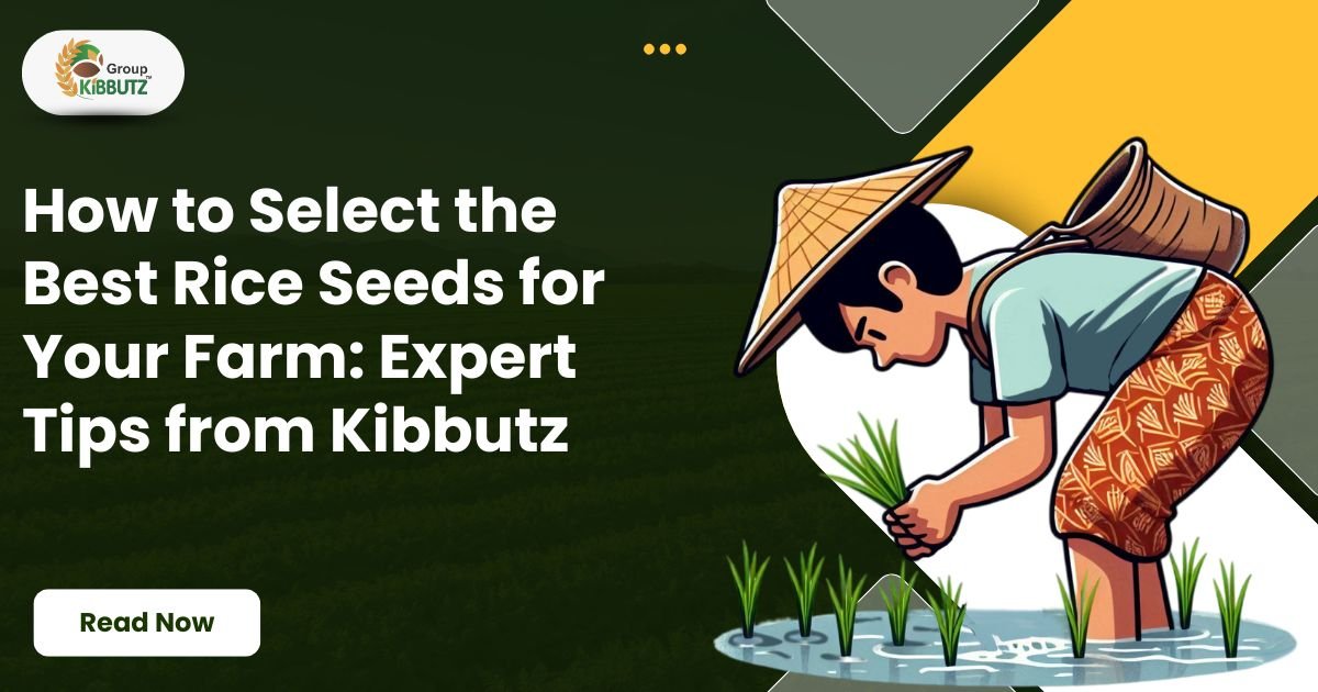 How to Select the Best Rice Seeds for Your Farm: Expert Tips from Kibbutz