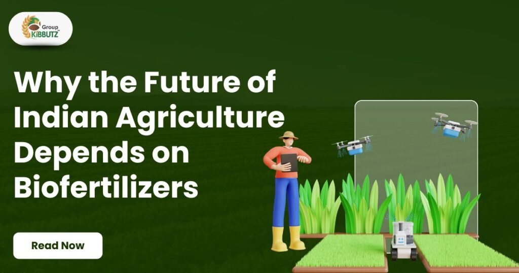 Biofertilizers in Indian Agriculture