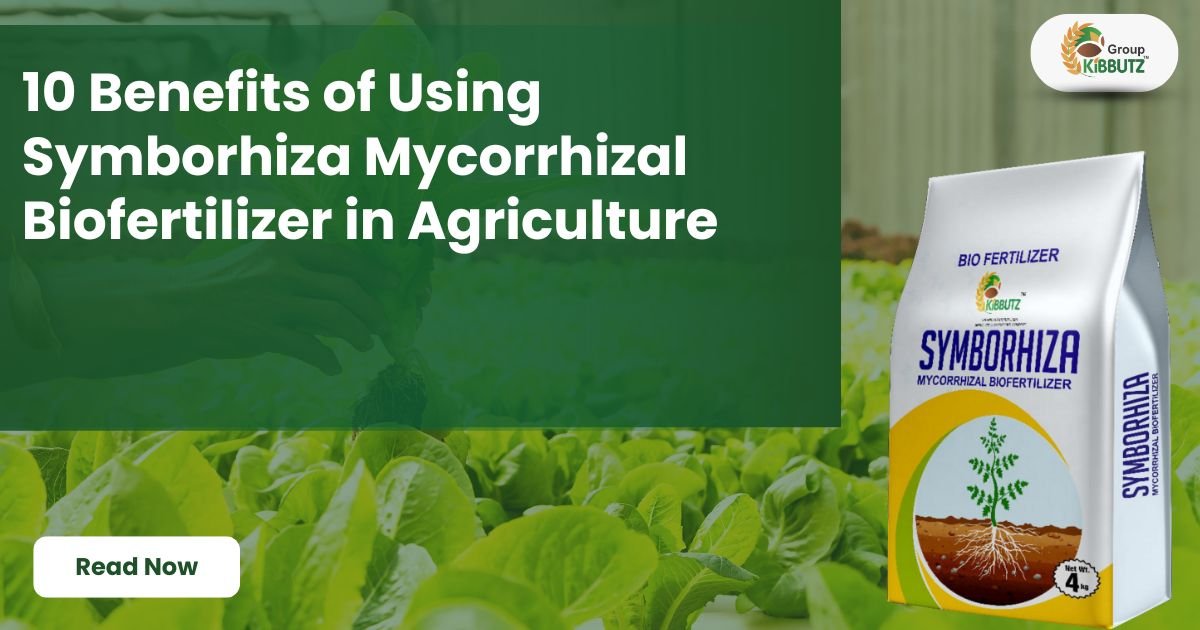 10 Benefits of Using Symborhiza Mycorrhizal Biofertilizer in Agriculture