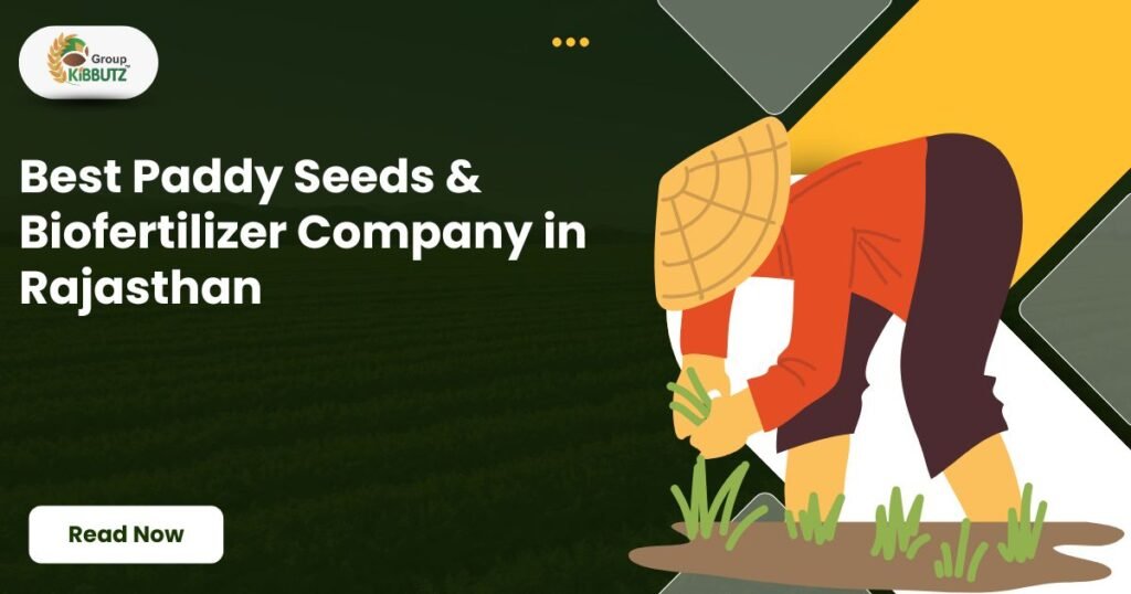 Paddy Seeds & Biofertilizer Company