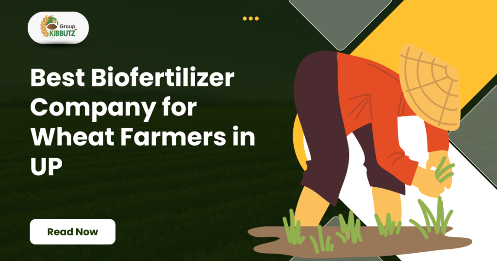 Biofertilizer Company for Wheat Farmers in UP