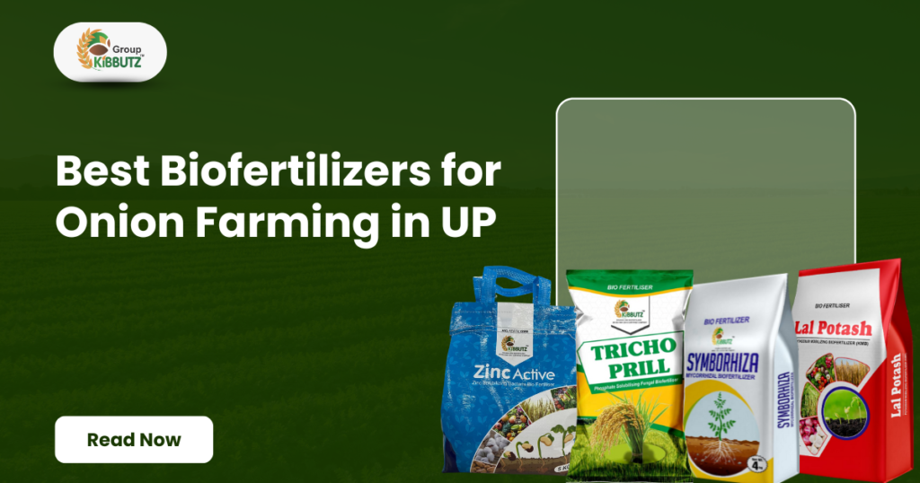 Biofertilizers for Onion Farming in UP