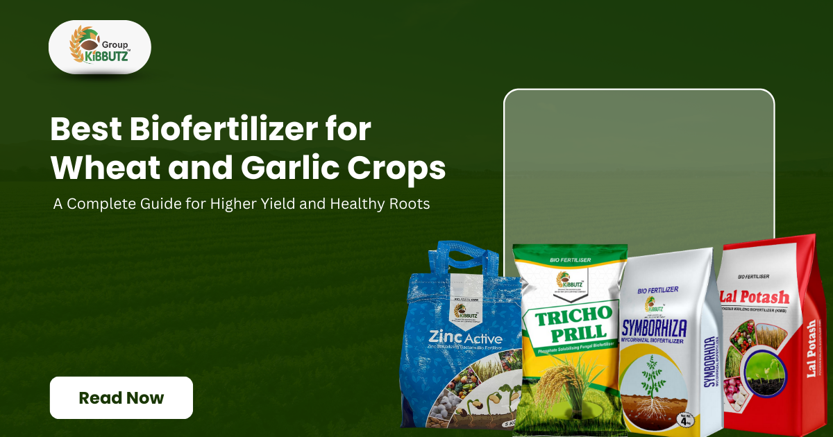 Best Biofertilizer for Wheat and Garlic Crops: A Complete Guide for Higher Yield and Healthy Roots