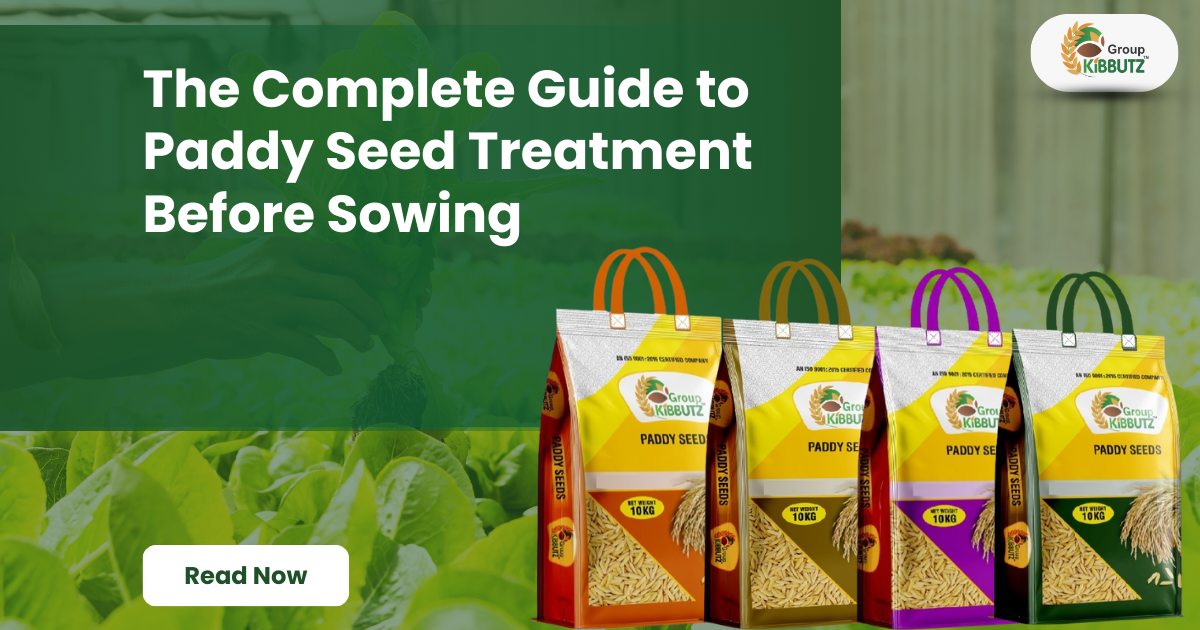 The Complete Guide to Paddy Seed Treatment Before Sowing
