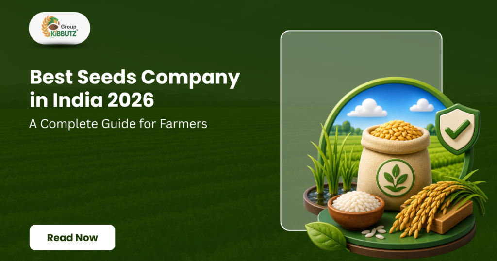 Best Rice Seed Company