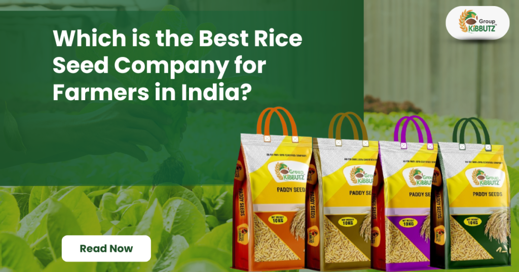 Rice Seed Company in India