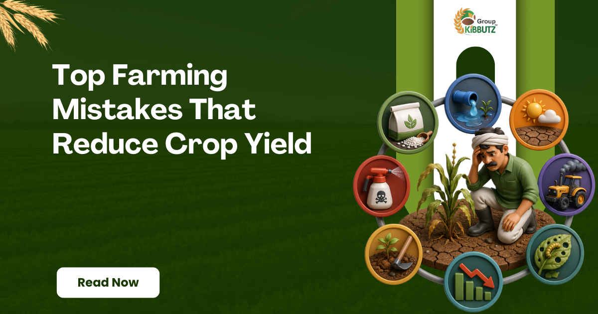 Top Farming Mistakes That Reduce Crop Yield
